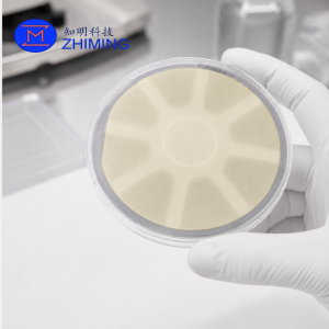 2D Semiconductor WS₂ on Sapphire Wafer for Research & Device Development