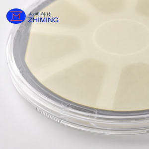 2D Semiconductor WS₂ on Sapphire Wafer for Research & Device Development