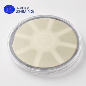 2D Semiconductor WS₂ on Sapphire Wafer for Research & Device Development
